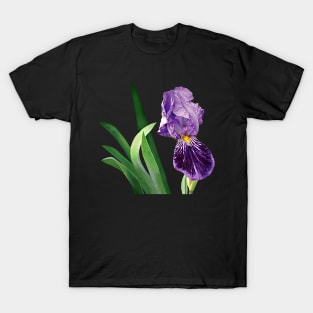 Irises - Striped Purple Iris T-Shirt